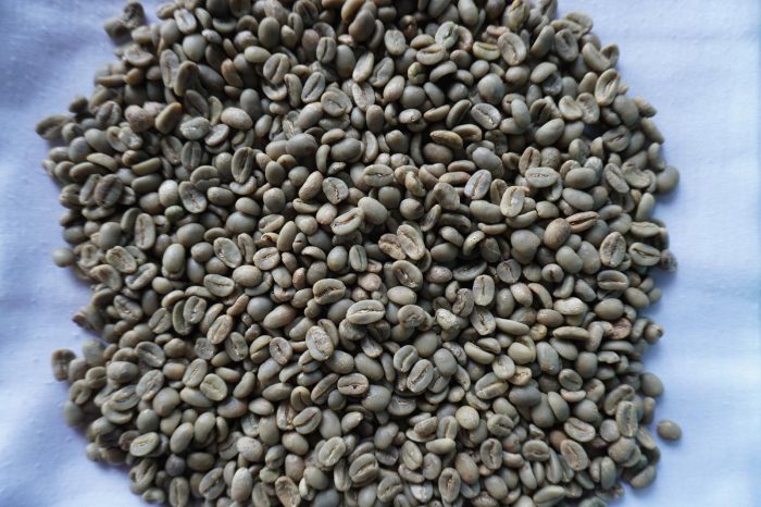 Green Bean Arabica Full Washed (FW)