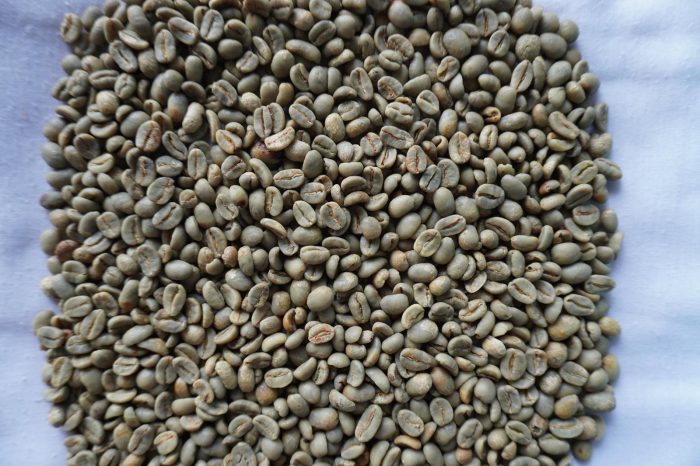 Green Bean Arabica Honey