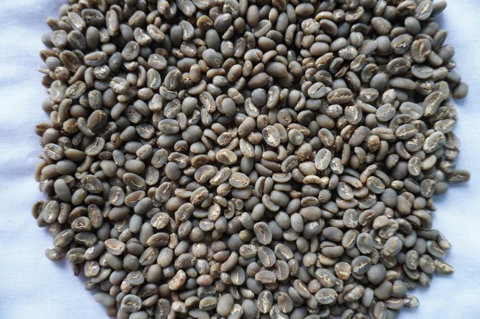 Green Bean Arabica Semi Washed (SW)