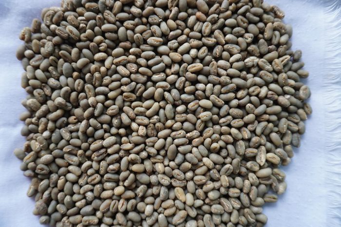 Green Bean Peaberry SW