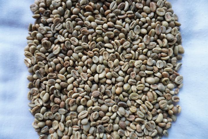 Green Bean Robusta Grade A