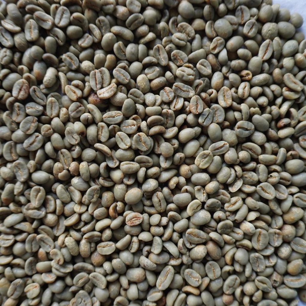 Greenbean Arabica Honey