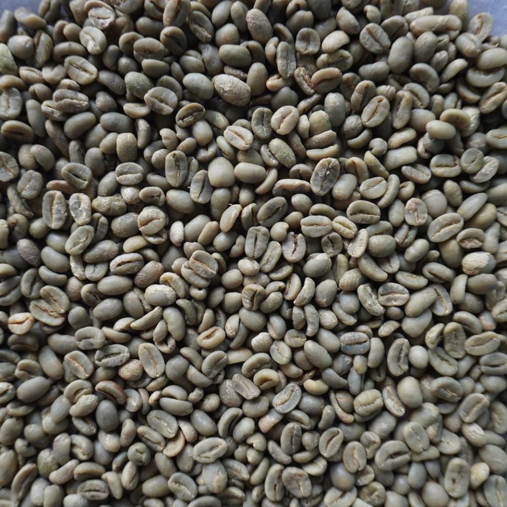 Greenbean Arabica Luwak Liar