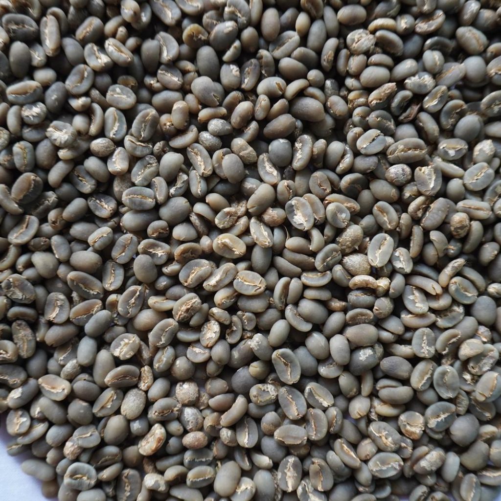 Greenbean Arabica grade 1 SW