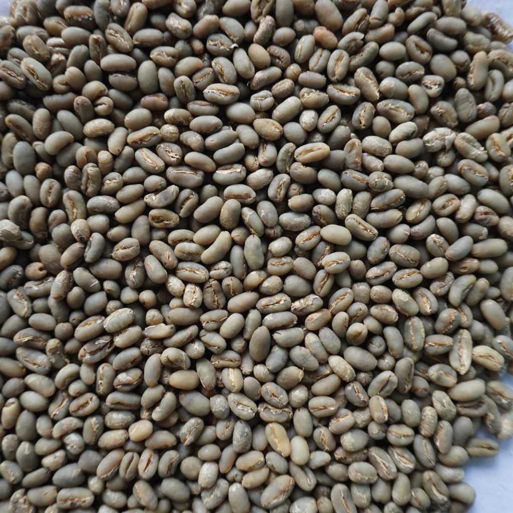 Greenbean Peaberry SW
